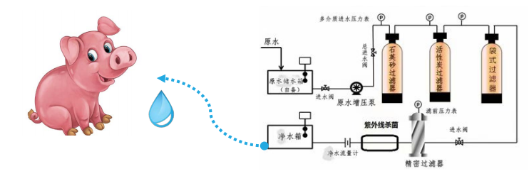 養(yǎng)豬場(chǎng)凈水設(shè)備,工藝流程